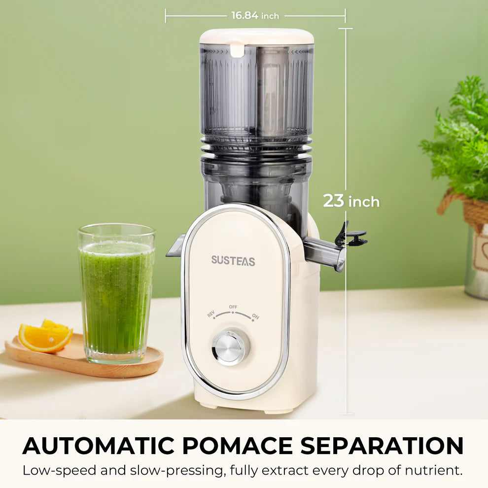 Cold Press Juicer