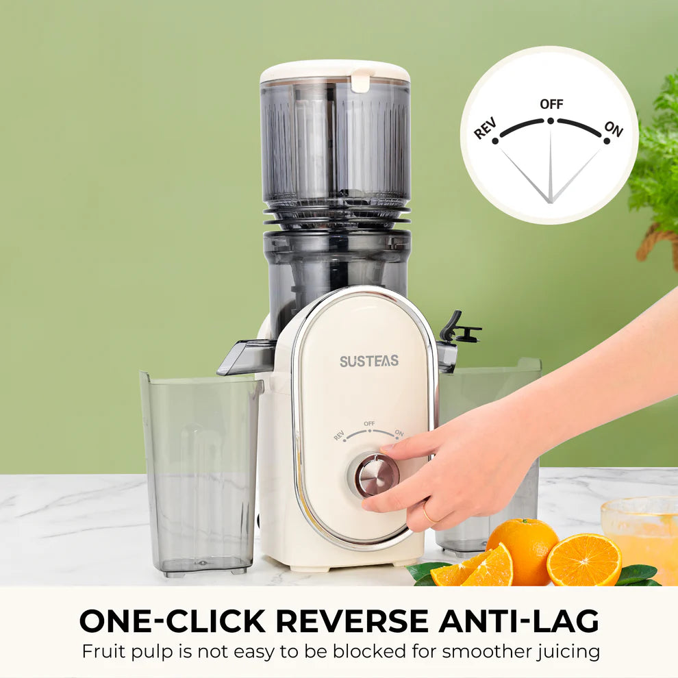 Cold Press Juicer