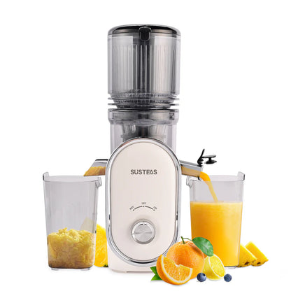 Cold Press Juicer