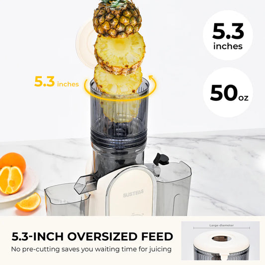Cold Press Juicer